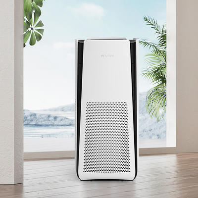 satın al İç Mekan Hepa Filtreli Hava Temizleyici 1-12s Zamanlayıcı Wi-Fi Büyük Yaşam Alanları İçin Çevrimiçi üretim